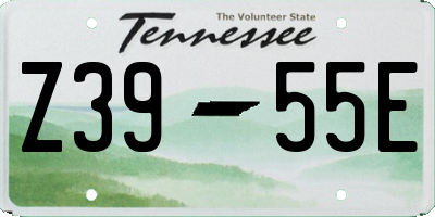 TN license plate Z3955E