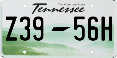 TN license plate Z3956H