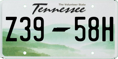 TN license plate Z3958H