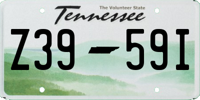 TN license plate Z3959I
