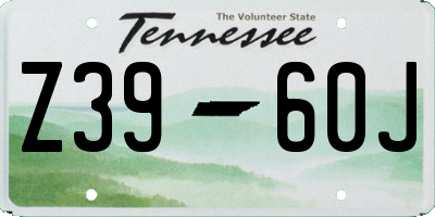 TN license plate Z3960J