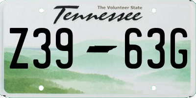 TN license plate Z3963G