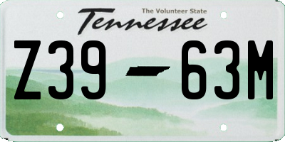 TN license plate Z3963M