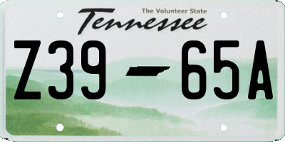 TN license plate Z3965A