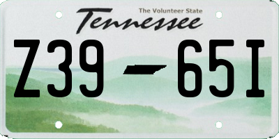 TN license plate Z3965I