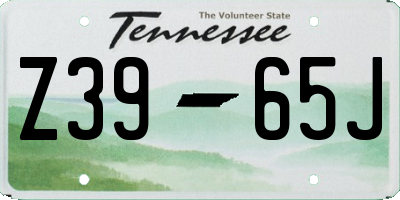 TN license plate Z3965J