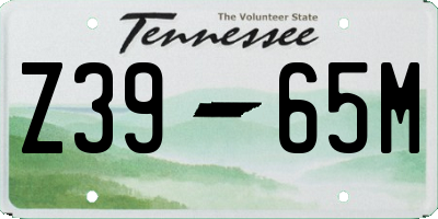 TN license plate Z3965M