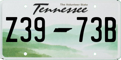 TN license plate Z3973B