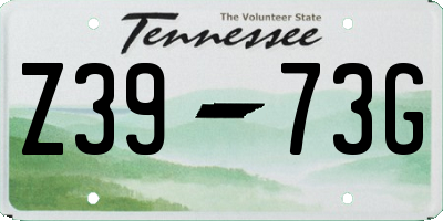 TN license plate Z3973G