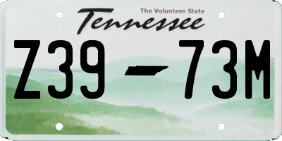 TN license plate Z3973M