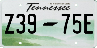 TN license plate Z3975E
