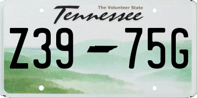 TN license plate Z3975G