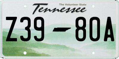 TN license plate Z3980A