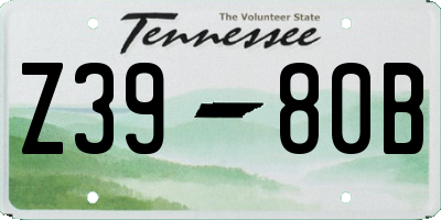 TN license plate Z3980B