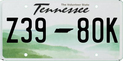 TN license plate Z3980K