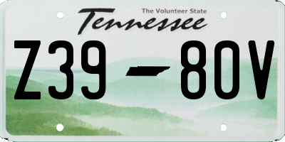 TN license plate Z3980V