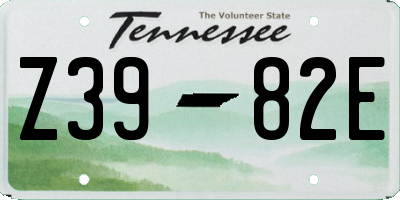TN license plate Z3982E