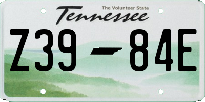 TN license plate Z3984E