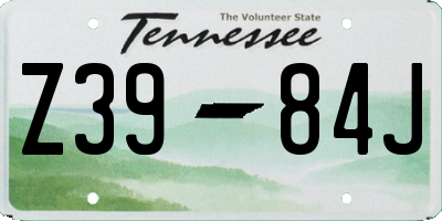 TN license plate Z3984J