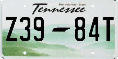 TN license plate Z3984T