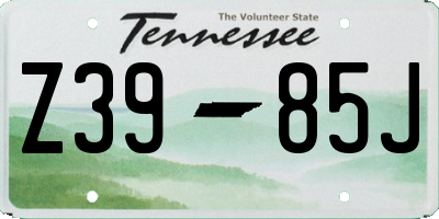 TN license plate Z3985J