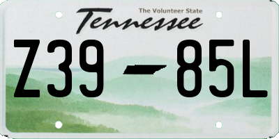 TN license plate Z3985L
