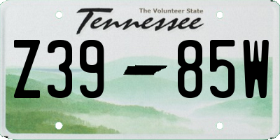 TN license plate Z3985W