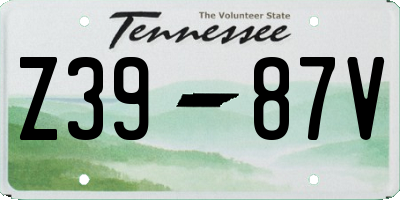 TN license plate Z3987V
