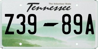 TN license plate Z3989A