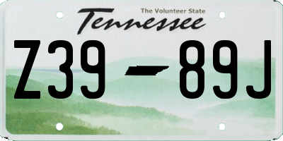 TN license plate Z3989J