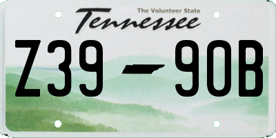 TN license plate Z3990B