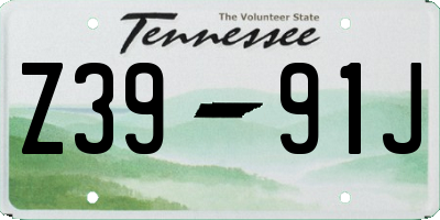 TN license plate Z3991J