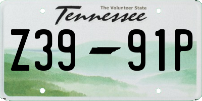 TN license plate Z3991P