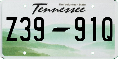 TN license plate Z3991Q