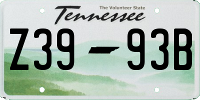TN license plate Z3993B