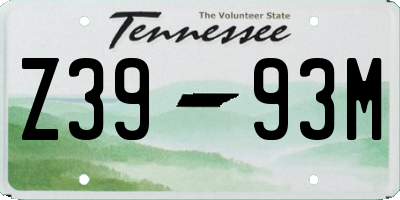 TN license plate Z3993M