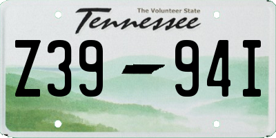 TN license plate Z3994I