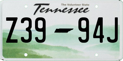 TN license plate Z3994J