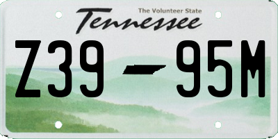 TN license plate Z3995M