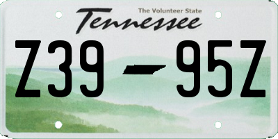 TN license plate Z3995Z