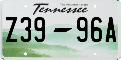 TN license plate Z3996A