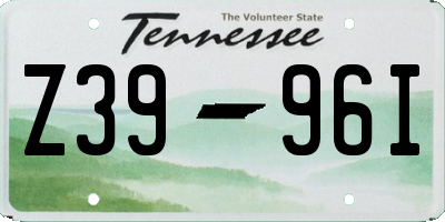 TN license plate Z3996I