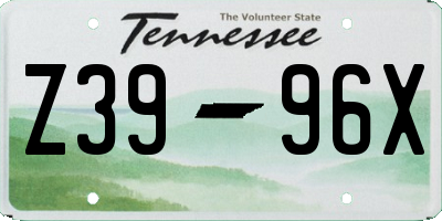 TN license plate Z3996X