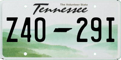 TN license plate Z4029I
