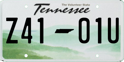 TN license plate Z4101U