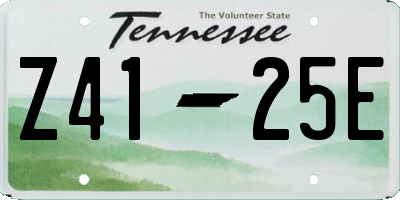 TN license plate Z4125E