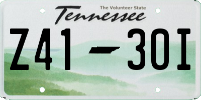 TN license plate Z4130I