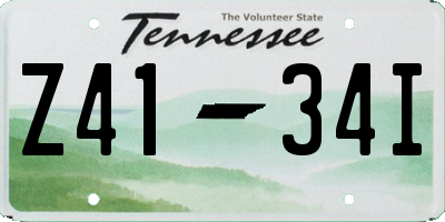 TN license plate Z4134I