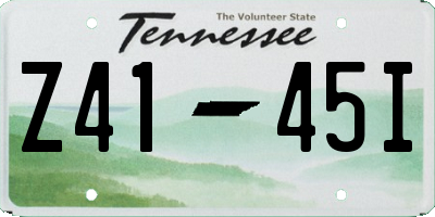 TN license plate Z4145I