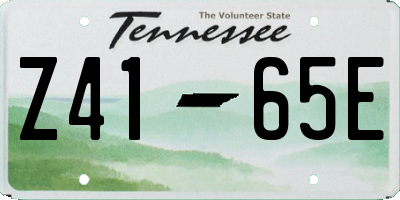 TN license plate Z4165E